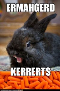 Both of my co-hosts get a bit like this when they see bunnies