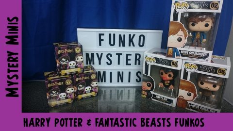 Harry Potter & Fantastic Beasts Funko Pops & Minis| Adults Like Toys Too