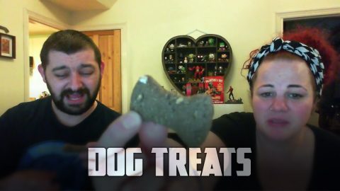 Tasting Dog Treats | Vlog