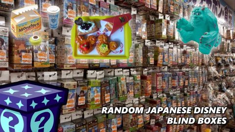 Random Japanese Disney Blind Boxes